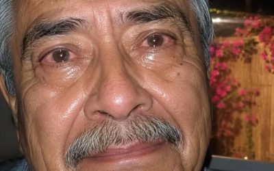 LLEVABA MESES MOLESTA PORQUE EL ANCIANO DE AL LADO DEJABA QUE SUS ENORMES PLANTAS LLENARAN MI ENTRADA DE HOJAS SECAS. AYER ENTRÉ A RECLAMARLE PORQUE SU PERRO NO PARABA DE LLORAR.
